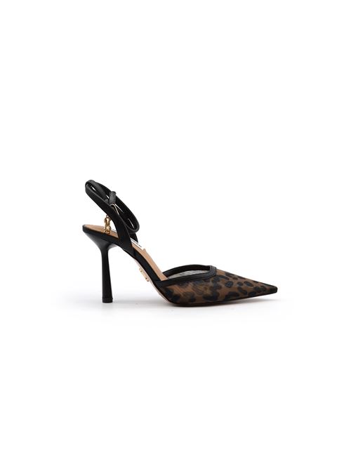  STEVE MADDEN | ALLIANCETLEO
